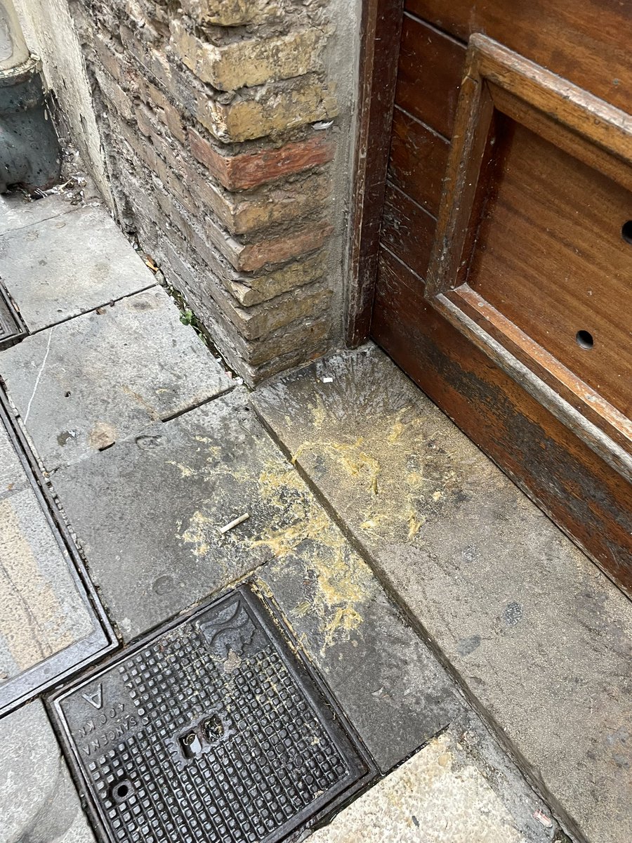 caravinagre's tweet photo. ¡Buenos días! Egun on!

Así es amanecer en las hermosas calles del casco viejo de #Pamplona-Iruña:  

- vómitos en la puerta de casa
- botellas
- cartones de pizza
- pelucas de una fiesta de despedida
- vasos, colillas, limones

Y quizá no es el peor domingo.
Fotos de hoy: https://t.co/NxgcSH1ssl