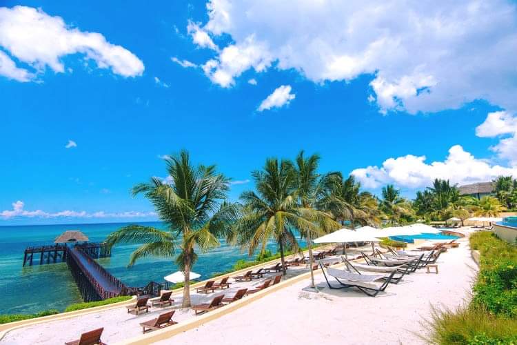 TAGTravel_Za's tweet photo. Breathtaking views & conveniently located 20 minutes from the historical town of Stone Town. Beautiful new memories to be made here.
quote@hashtagholidays.co.za
+27117595100
#sundayvibes #sunnydecember #travel4u #hashtagholidays #zanzibartanzania #experience #discover #explore https://t.co/7d0VSs4S2P