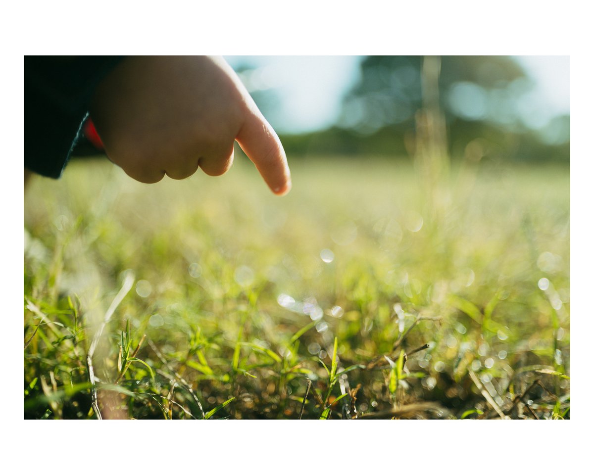 sho__pic's tweet photo. little hands. https://t.co/aD0IR6NM4j