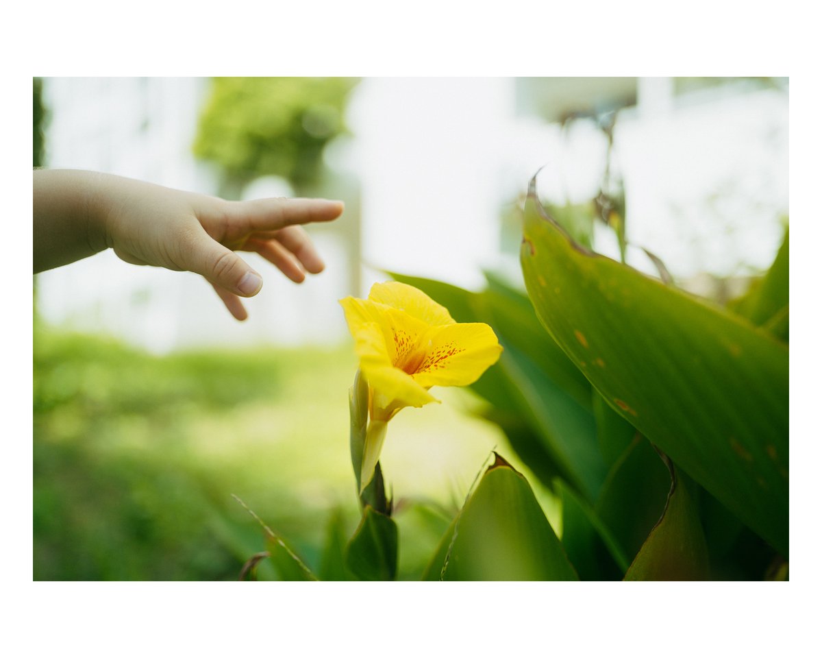 sho__pic's tweet photo. little hands. https://t.co/aD0IR6NM4j