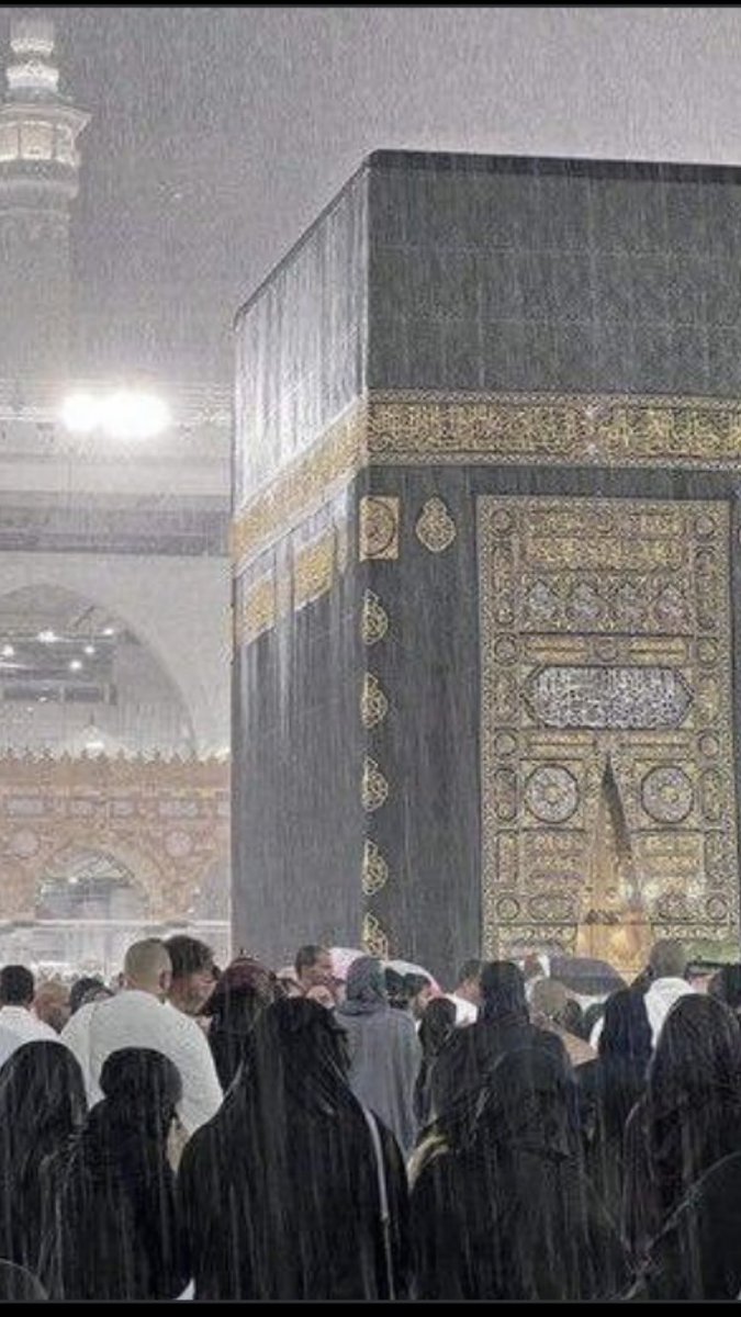 Bir gün sana sevdiğim insanla 

           geleceğim ….