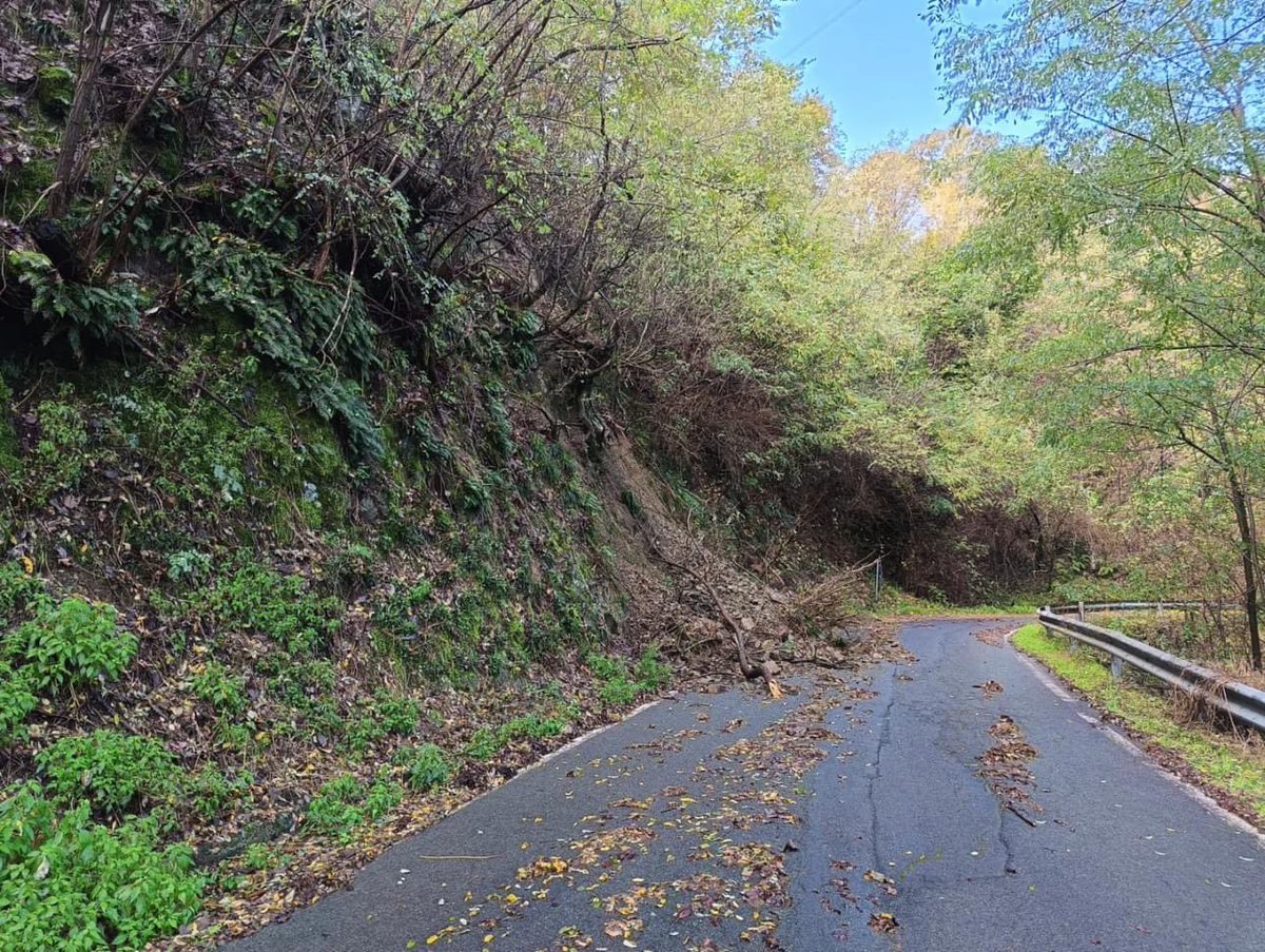 PCProvAL's tweet photo. Le foto della #sp207 di #Olbicella nel comune di #Molare, interessata da #frane in più punti. Sul posto è presente personale della #Viabilità della #Provincia di #Alesssandria
#AllertaMeteoPIE https://t.co/qfR2IXOIYF