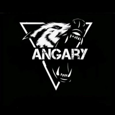 TEAM A N G A R Y tweet media