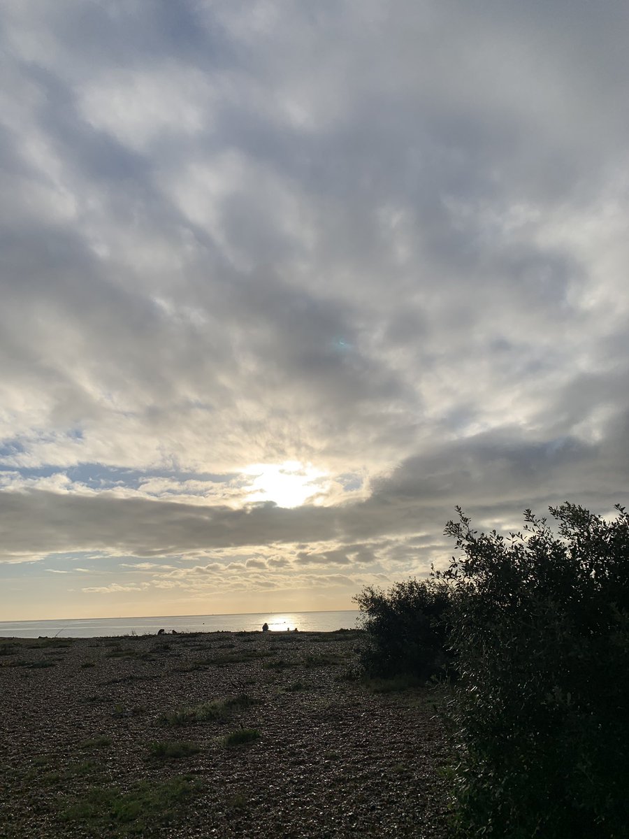 Beautiful morning for a run