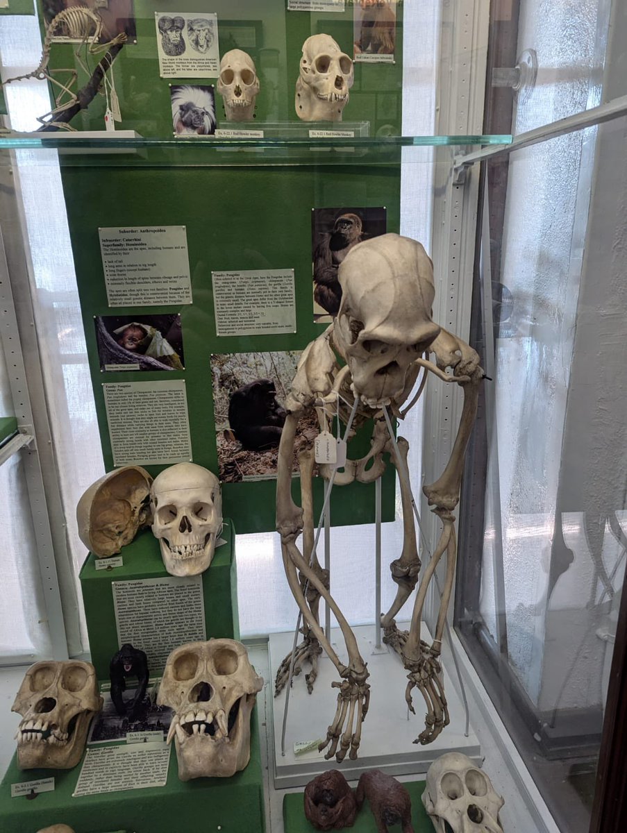 Broughton Biology tweet media