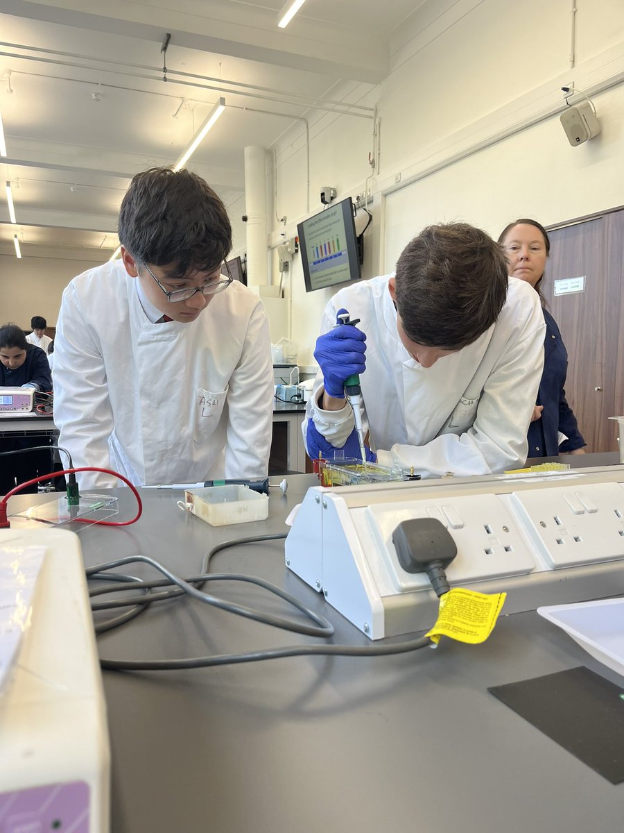 Broughton Biology tweet media