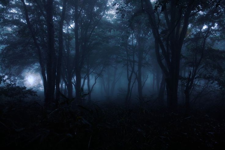 elemmiressoul's tweet photo. dark &amp; cool. https://t.co/2ggSiUV1aS