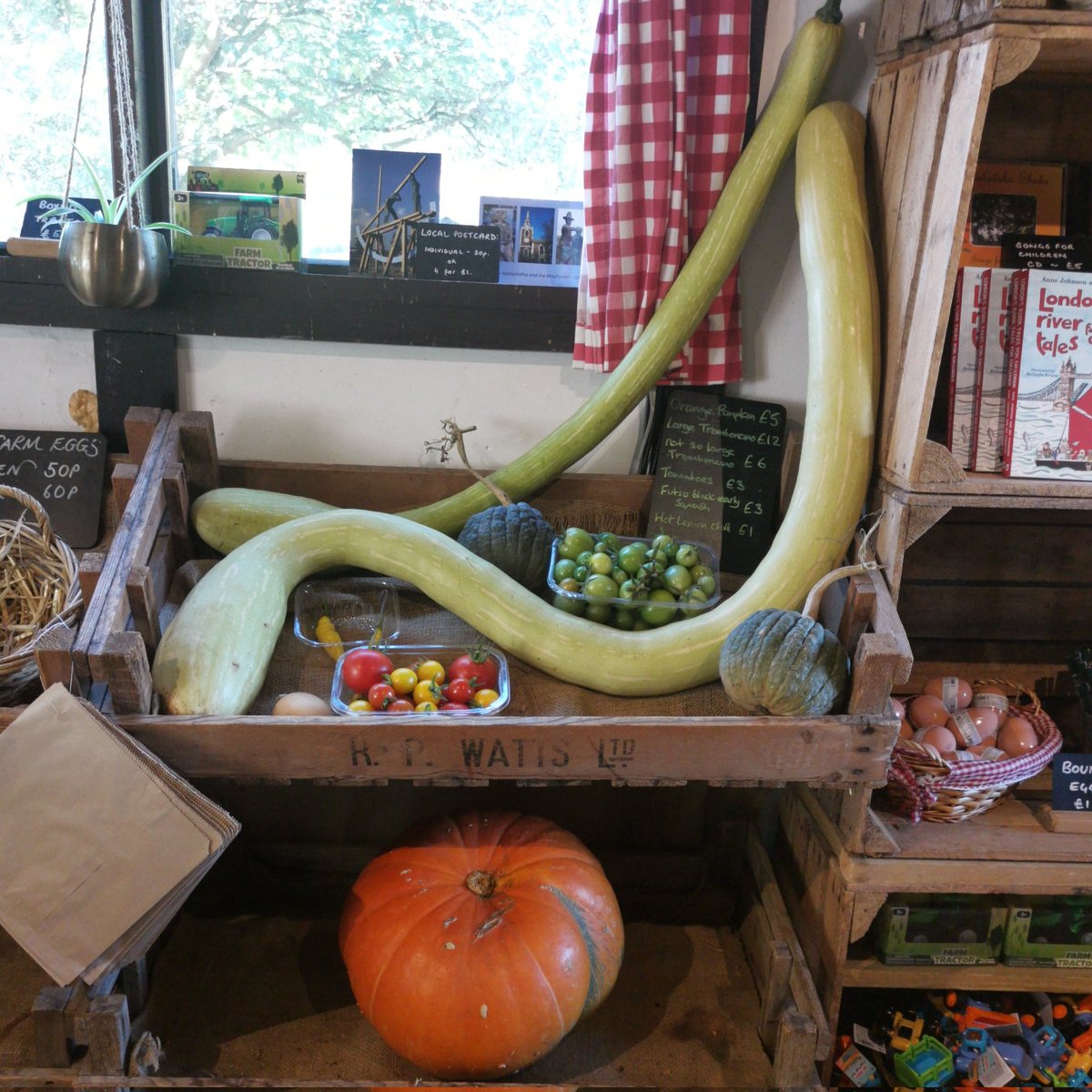 It's been a good tomato season but we now have pretty much the last of them in the shop, but we also have our delicious monster tromboncinos and a few squashes