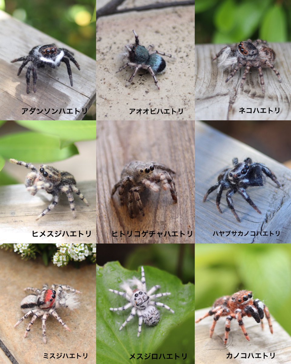 DamperRoyal's tweet photo. #SNS文化祭2024

羊毛で作った色んな蜘蛛作っております🕷️ https://t.co/G4KnGdTgzg