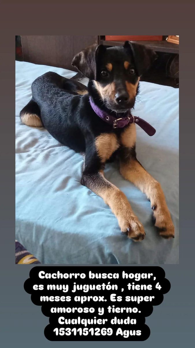 🆘🆘🆘URGENTE AYUDA!!!🙏🙏🙏