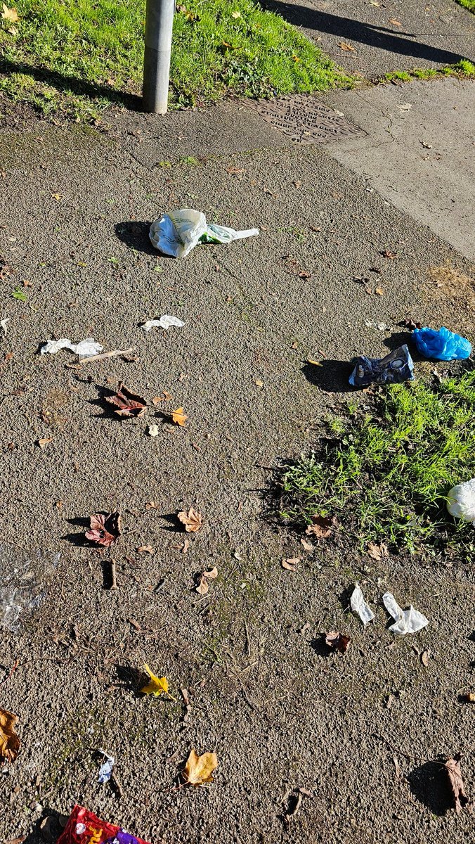 v_danner's tweet photo. @SloughCouncil @sloughobserver enough of littering near boulters close
The residents of number 24 have been dumping their rubbish by the footpath bin for weeks, leaving it to the foxes to tear everything off and not bothering to clean up. Can you do something about it? https://t.co/ElOE7c2Vie
