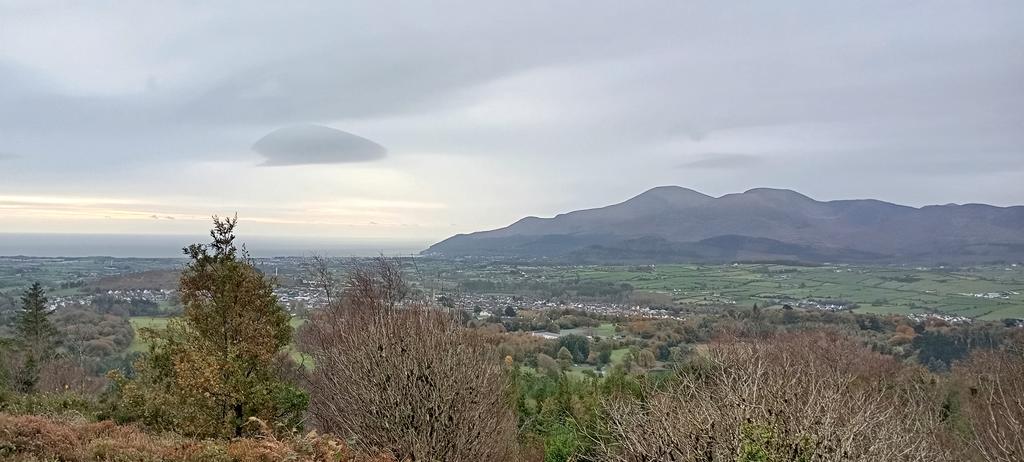 Morning walk #autumn #CastlewellanForestPark #countydown