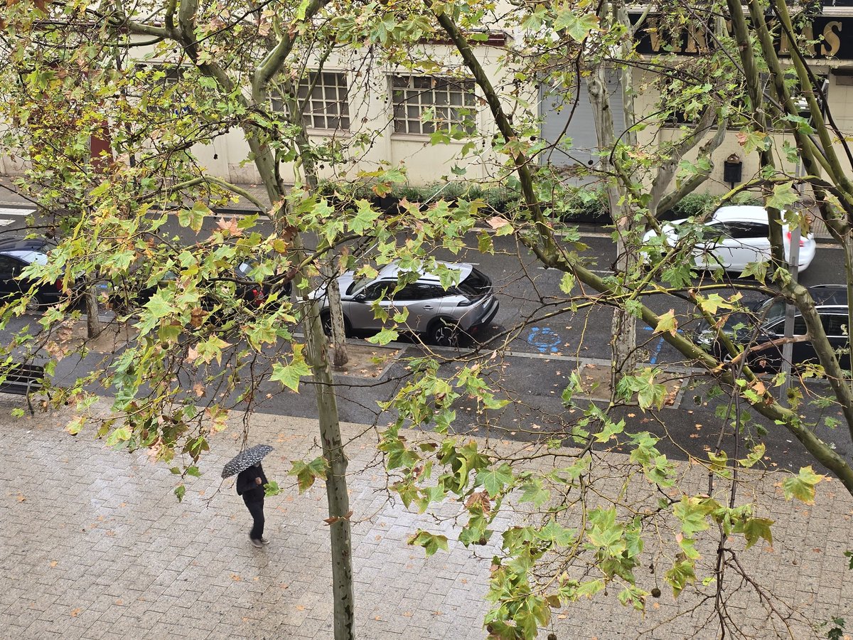 gramareus's tweet photo. 13°C, humitat del 87%
Cel tapat i plou poc...☔️
#Reus #rain #plou #celgris
@1967fct @ecazatormentas @StormHour @SeguimlaMeteo @SomosMeteo @Alex_MeteoM https://t.co/dacPZVAwe4