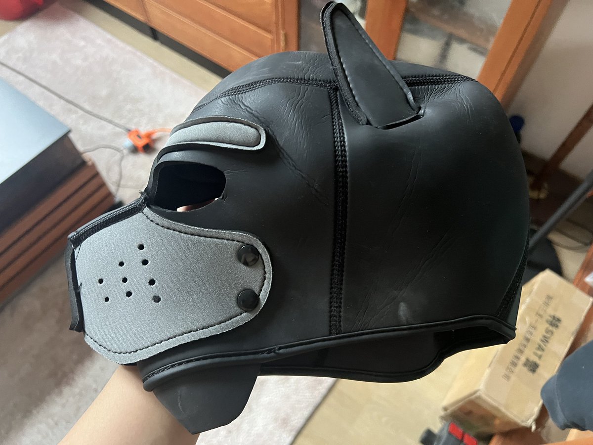 做狗狗的行为目的是因为做人太多难做的事情做了也没有好的结果，所以做一些简单的事情想要得到关爱关心还有被爱，结果我得到的反馈是全都是命令式，就算是真的是狗狗，它至少也有无条件被爱的感觉吧，而且也是那种不会被很轻易的被抛弃的关系