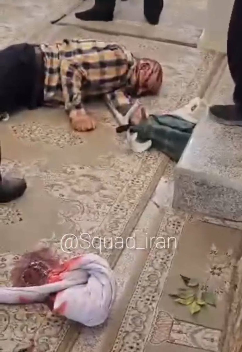 حنانیا نفتالی tweet media