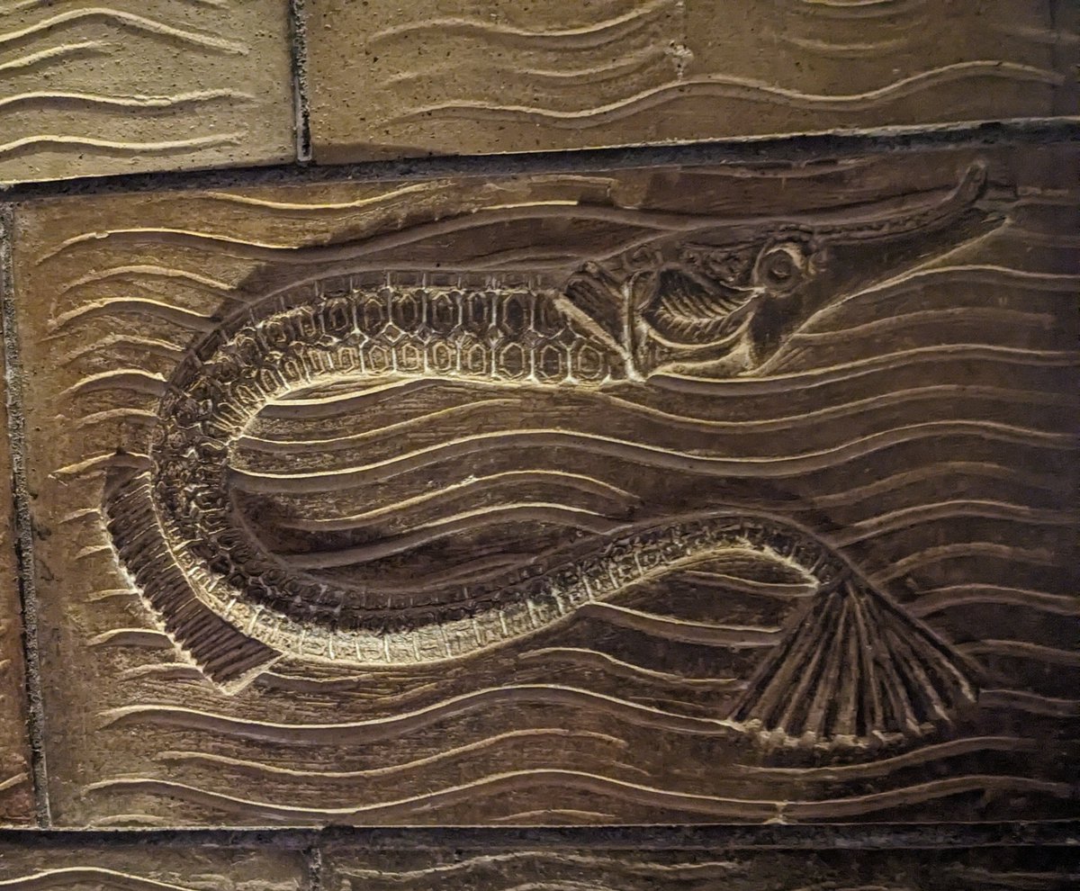 BioNept (@bionept) on Twitter photo Beautiful high-reliefs adorn the walls of the <a href="/NHM_London/">Natural History Museum</a> capturing ocean life in stunning detail
🌊🐟🐙🌊
#NaturalHistoryMuseum #MarineArt #London #marinelife #biodiversity Beautiful high-reliefs adorn the walls of the <a href="/NHM_London/">Natural History Museum</a> capturing ocean life in stunning detail
🌊🐟🐙🌊
#NaturalHistoryMuseum #MarineArt #London #marinelife #biodiversity