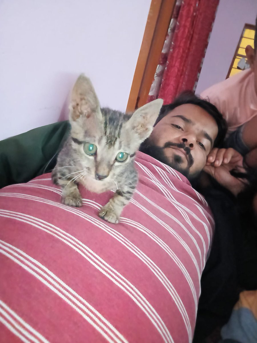 एनिमल लवर 
#INDvsNZ 
#ViratKohli 
#LingOrm