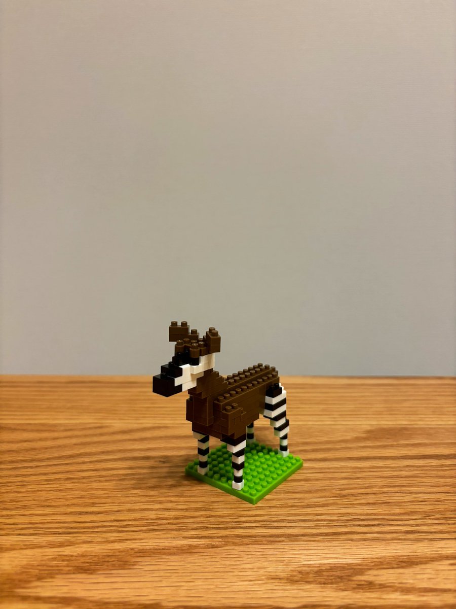 オカピ完成しました！
想像より3倍は難しかったです🦓

父と母の同窓会会場からは、乾杯前の挨拶で父がスベったとの情報が入って以降連絡が途絶えてるので、楽しくやってる事を願います👦🏻