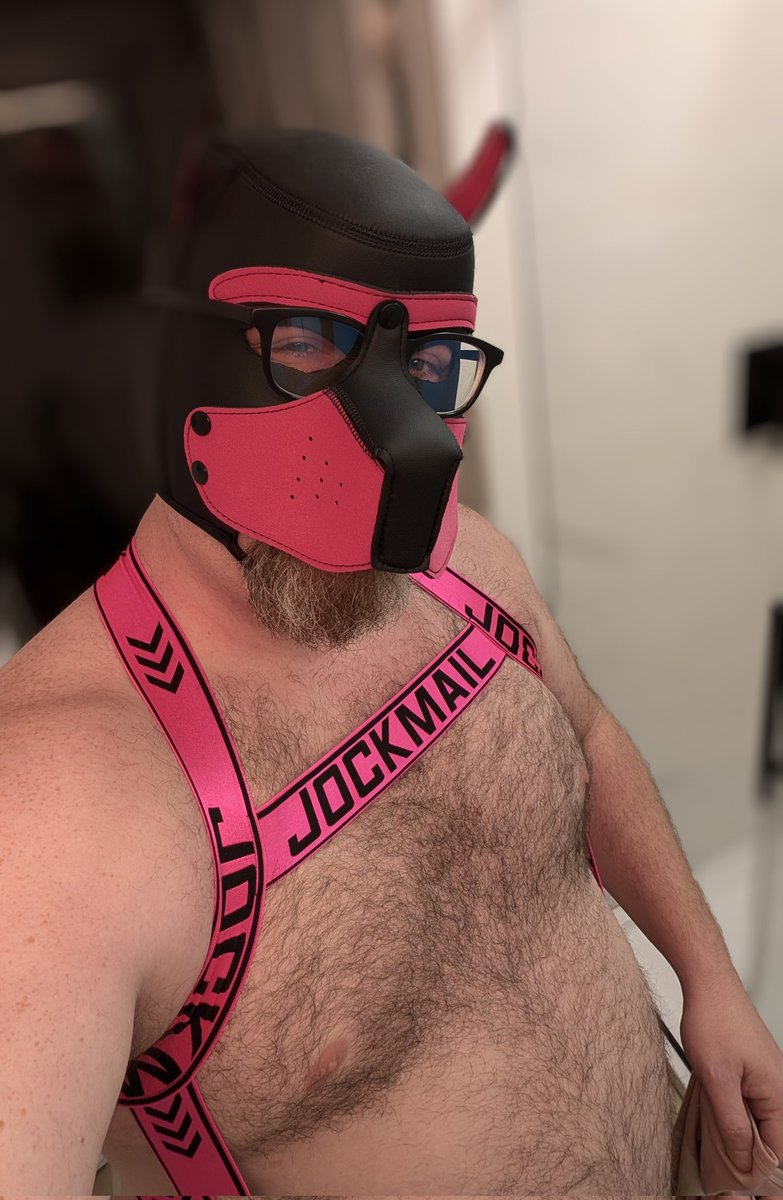 Cramb084's tweet photo. Some new gear came 🐾 https://t.co/owK14aBA52