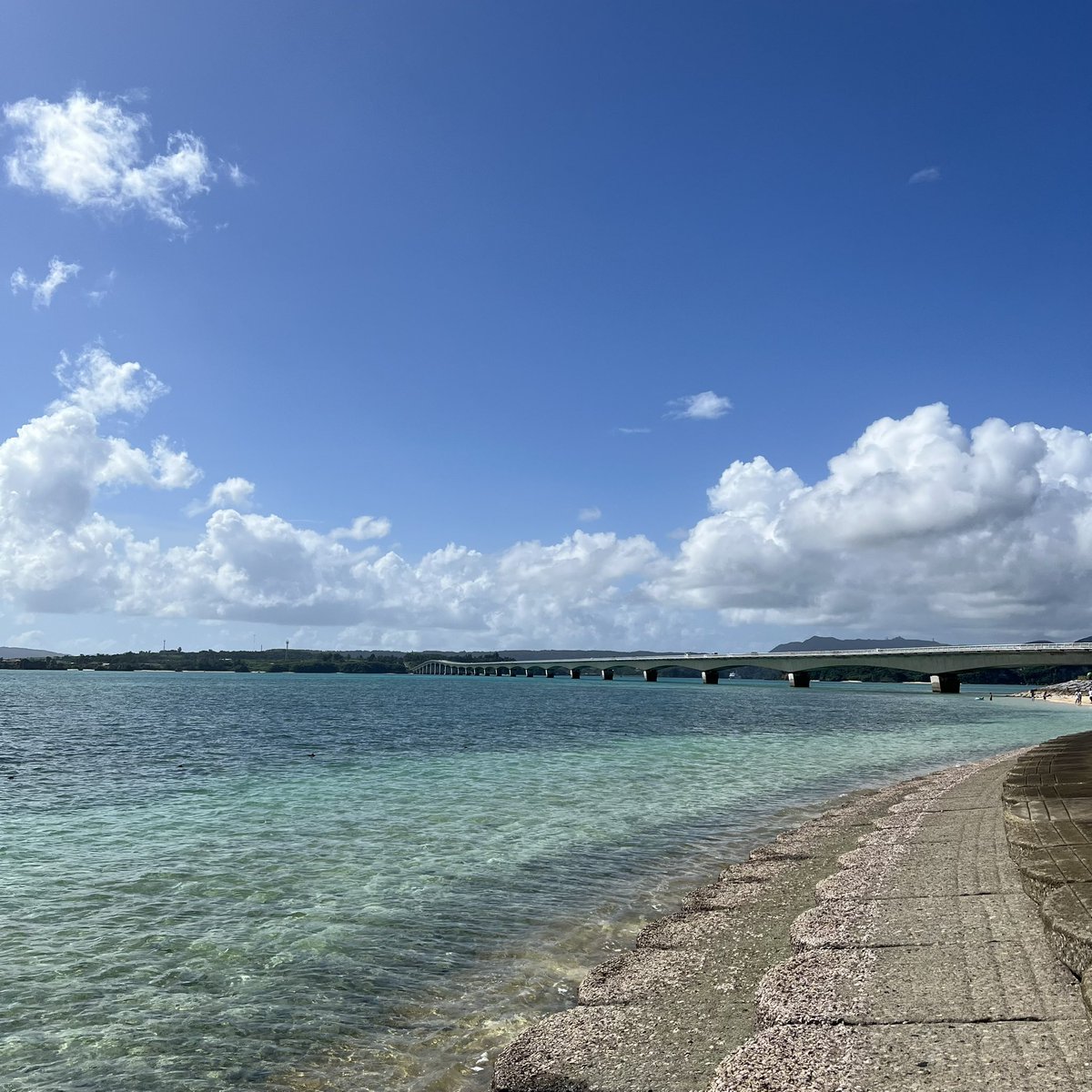 今日は沖縄から！