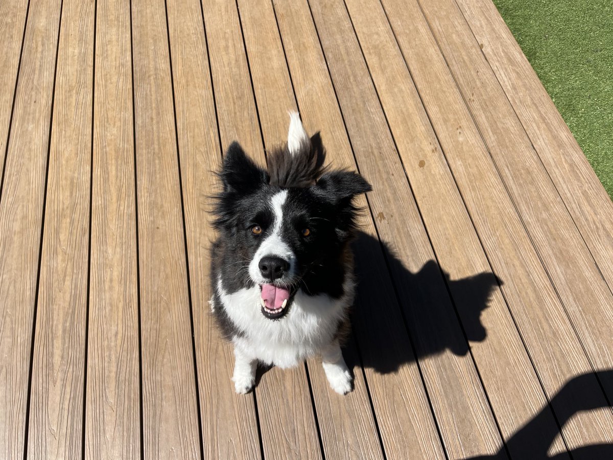 itsFISKY tweet media