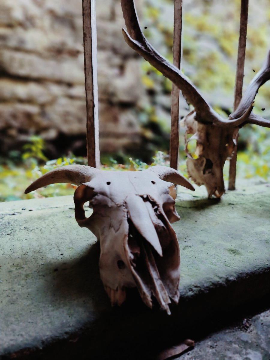 Halloween part two family afternoon at Calke Abbey