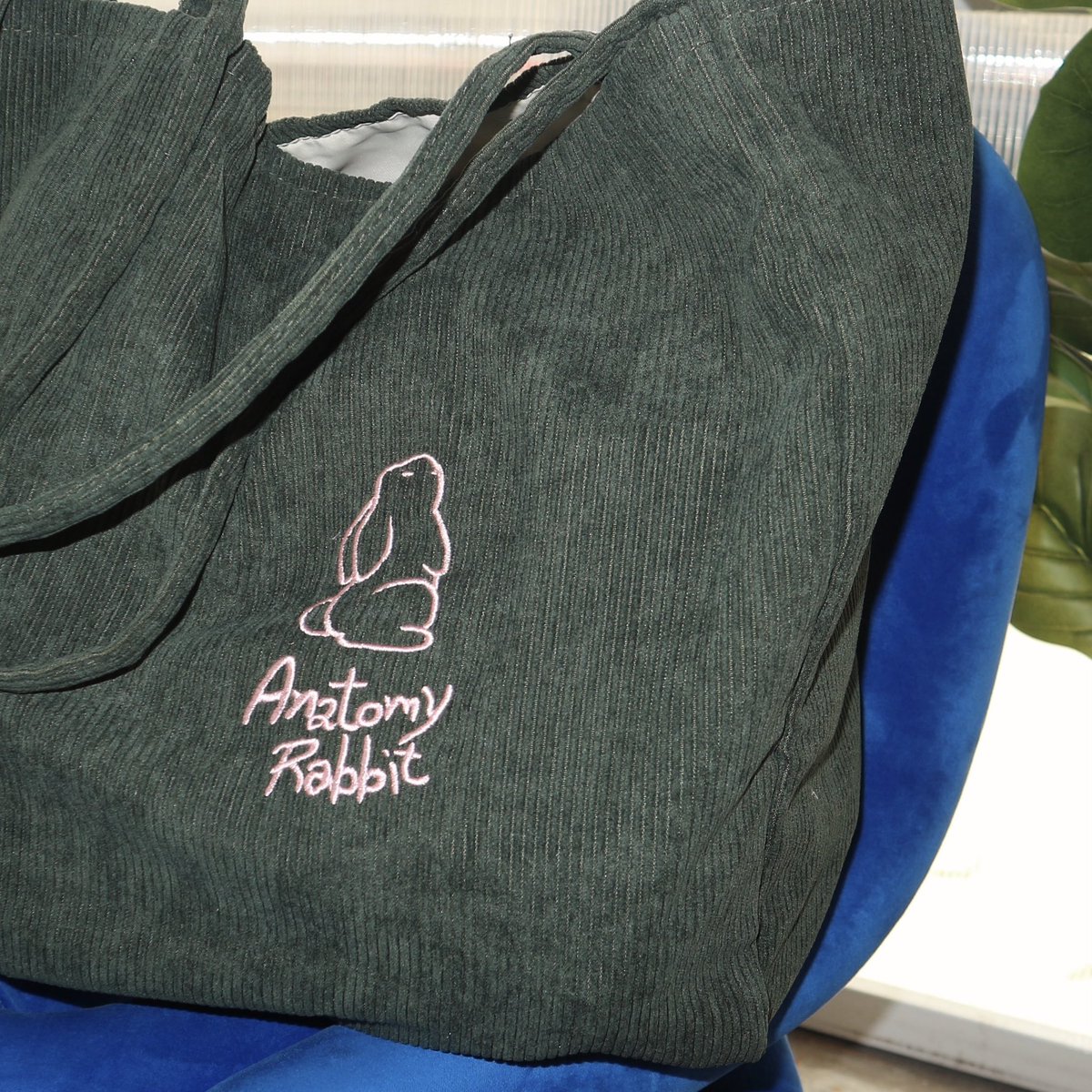 AnatomyRabbit tweet media