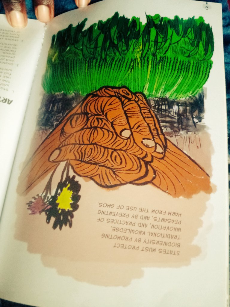 Stop GMOs we have a right to Biological Diversity as per article 20 of UNDROP #GMOFreeKenya #FarmersSeeds #October31Ruling KCB Mpesa News World Judiciary Justice UNDROP President Trump Ruto Parliament Executive Occupy Stan Chart Farmers Food