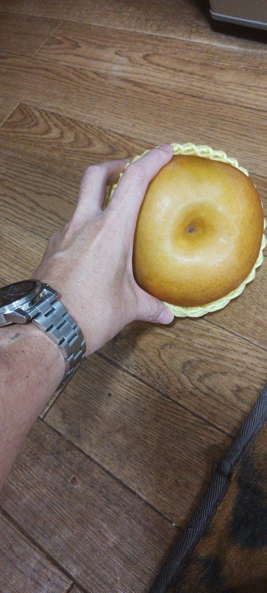 ドデカ梨get🤟