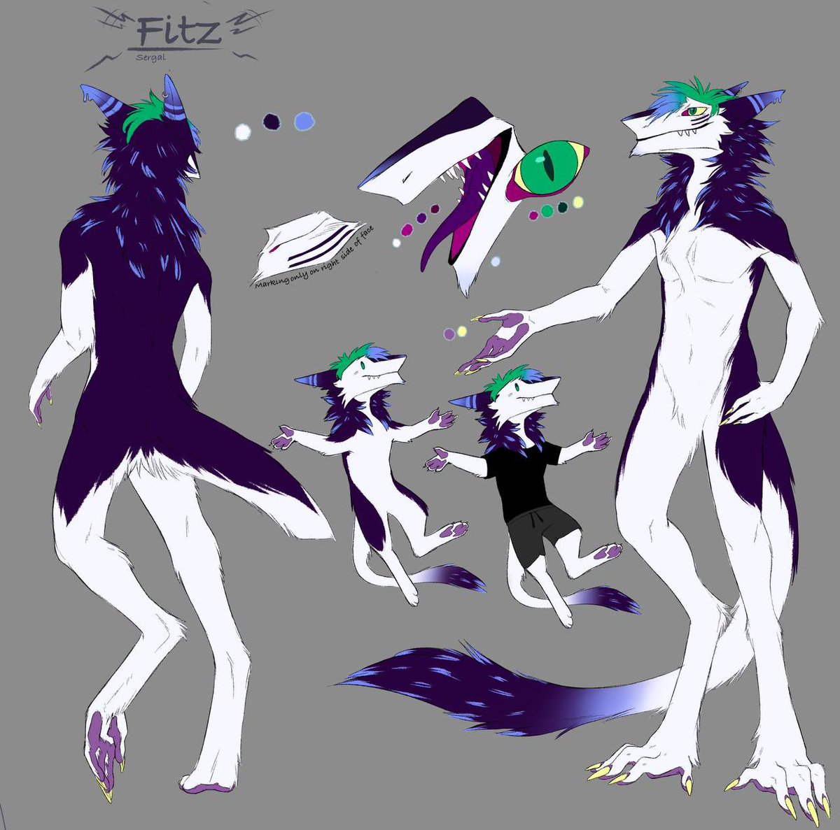 Fitz the Sergal tweet media