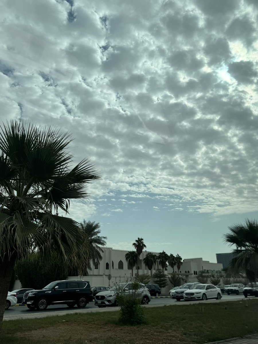 nzxc28's tweet photo. Good morning 🌥️💙💙 https://t.co/uXkYJSgLmU