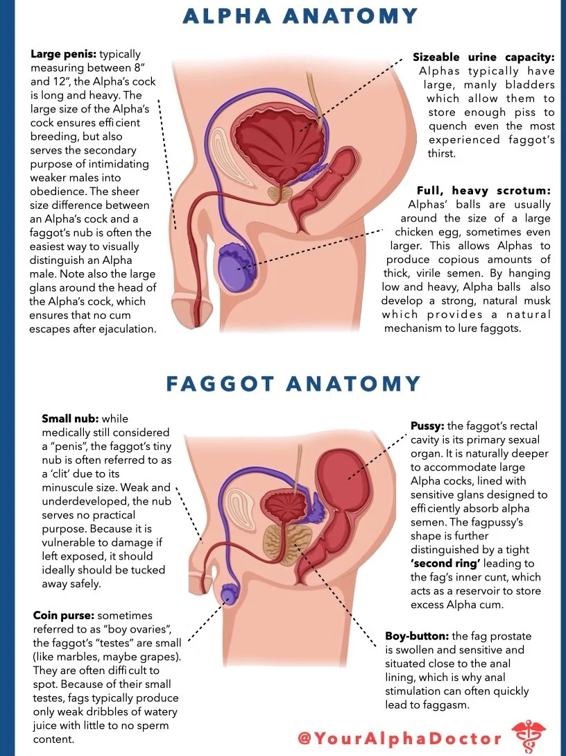 Itsdoug01's tweet photo. Anatomy class for you, physical differences between an
Alpha male and a faggot https://t.co/EwBaQxb1AT
