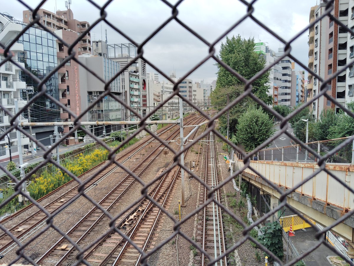 eno_eno's tweet image. 「OpenStreetMap代官山マッピングパーティー＆OSM二十歳のお祝い」に参加してます。
歩いた後でカフェに来ました。ケーキも用意いただきました。 #osm