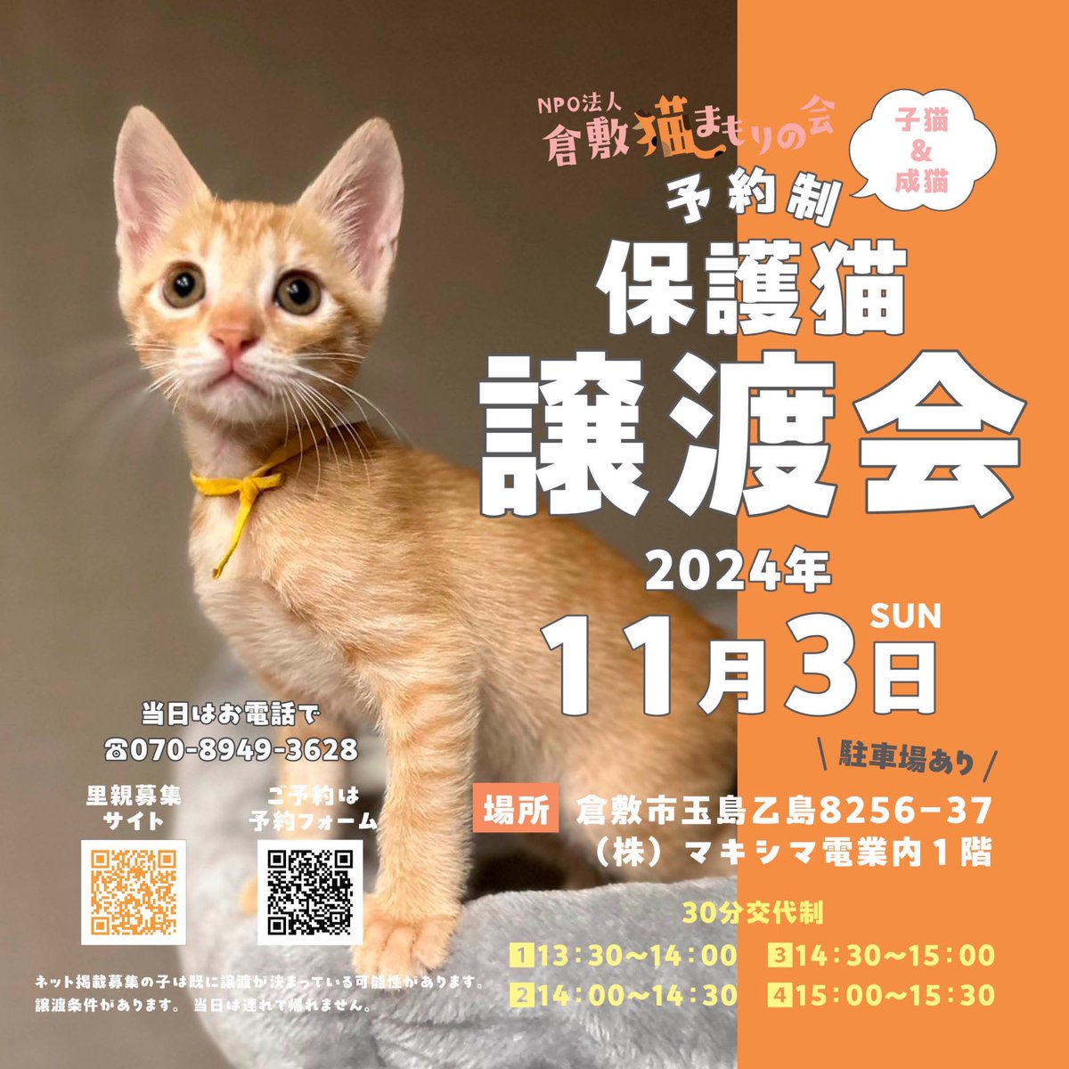 KuranekoMamo's tweet photo. 😺 #保護猫 #子猫 の譲渡会
2024年11月3日
倉敷市玉島乙島8256-37
㈱マキシマ電業内1階
🅿️あり雨天決行
⏰13時半〜15時半
30分交代制
ご予約当日14時まで↓
☎️ 070-8949-3628
当日13時まで↓
https://t.co/zIjVRqpi0G
譲渡条件あり、当日は連れて帰れません。
#岡山
#倉敷
#里親募集
#拡散希望
#譲渡会 https://t.co/9DfdwLMDeG