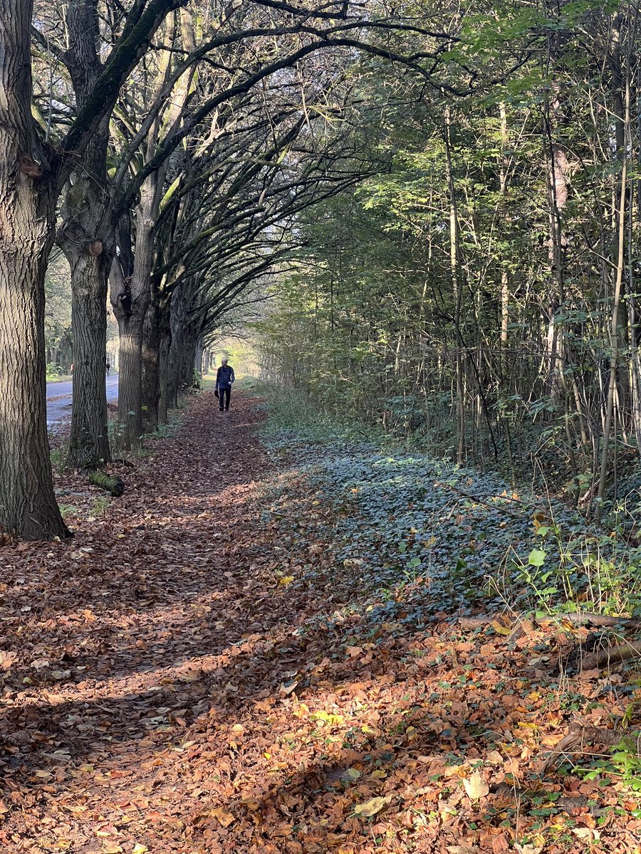 ‘Izdırabın sonu yok sanma, bu alem de geçer /Ömr-i fani gibidir, gün de geçer, dem de geçer / Gam karar eyliyemez hande-i hurrem de geçer /Devr-i şadi de geçer, gussa-i matem de geçer /Gece gündüz yok olur, an-ı dem adem de geçer’.

Geçer dostum, geçer. Hayat bizi iyileştirir.