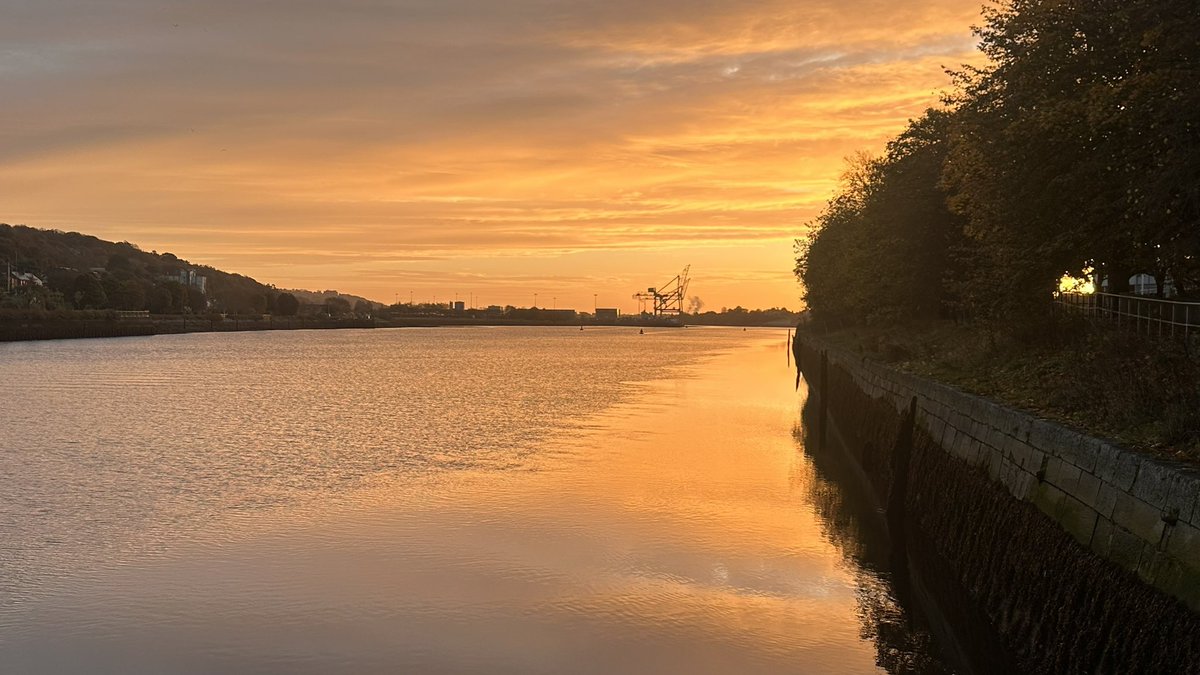 Brian O'Flaherty tweet media