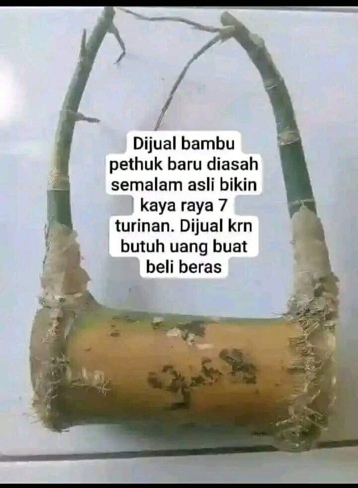 amekyeah's tweet photo. Jare marai sugih tapi kok kowe butuh uang :(. Opo wes keturunan ke 8? https://t.co/7IBVyoJM3x
