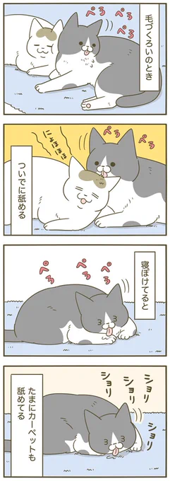 猫の延長線 