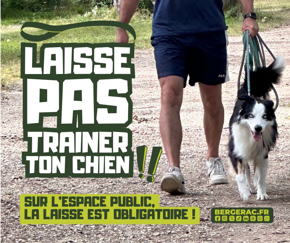 🦮 Laisse pas trainer ton chien ! Une petite balade avec votre ami à 4 pattes ? Sur l'espace public, la laisse est obligatoire. 

Bon dimanche à tous et bonnes balades 😉