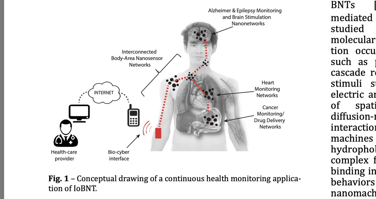 CorinneNokel's tweet photo. @Ryansikorski10 EUROPEAN PARLIAMENT 

INTRA-BODY INTERNET #IoBNT 

'These Sensors may be not only used ON the body, but also increasingly IN the body.'

p. 8 https://t.co/xqSlDSmDRq

SMART BODY AREA NETWORK

p.7 

Kuscu / Unluturk 

#Graphene

https://t.co/VuQsIG4joX

https://t.co/X765NEXHGV https://t.co/VuJlWxEkrl