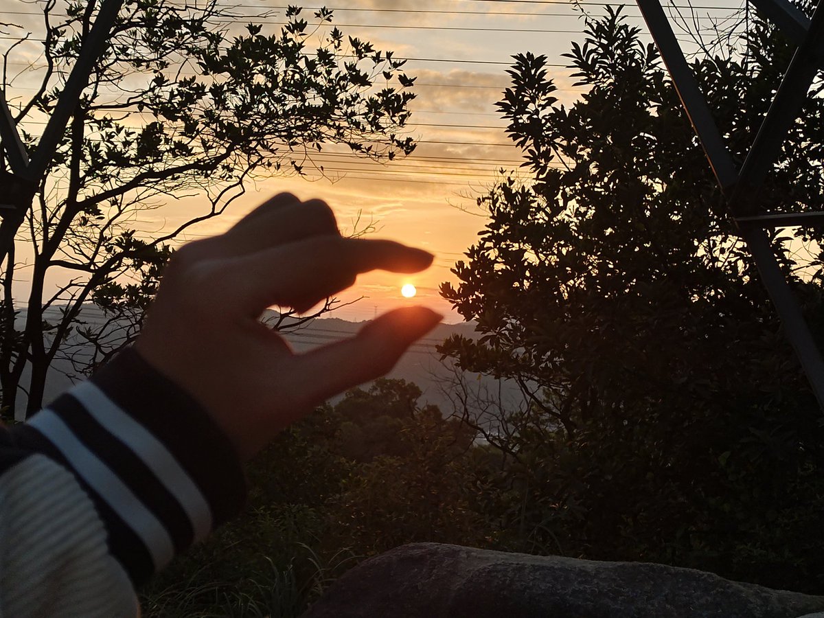 gp6599's tweet image. 