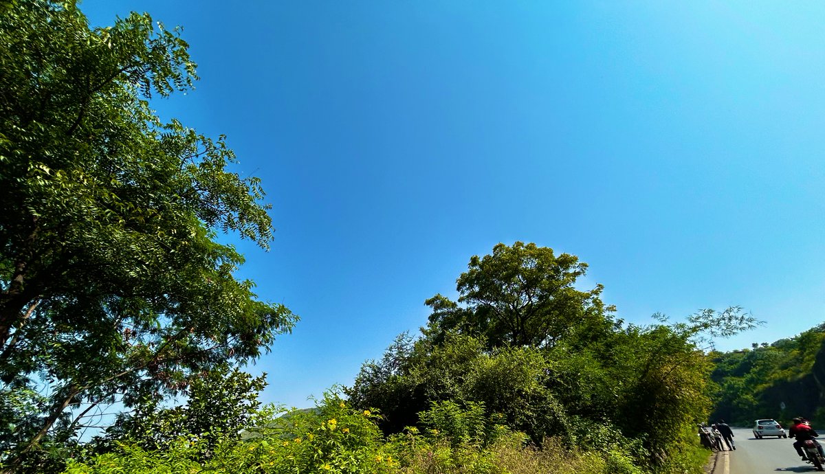 AnkitKV98's tweet photo. Burst of shots on the way to a hill station ;
More shots coming soon in next posts
#follow #hillyfields #hill #photography #mountains https://t.co/8nJShQtqnc