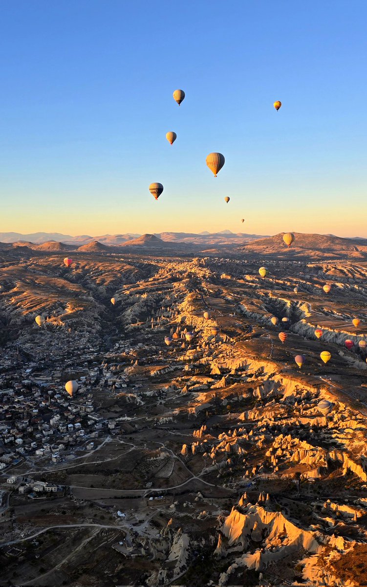 Coach Stolley tweet media