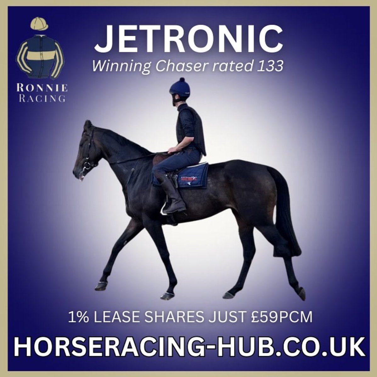 hub_horse's tweet photo. Introducing dual winning 5YO chaser JETRONIC, rated 133
Recently purchased by @ronnieracingltd &amp; trained by @gl_racing new owners can look forward to an exciting NH season racing at premier tracks
Lease share just £59pcm for 1% 
For details ➡️ https://t.co/YfEsAllMBP https://t.co/sasZXbjq0f