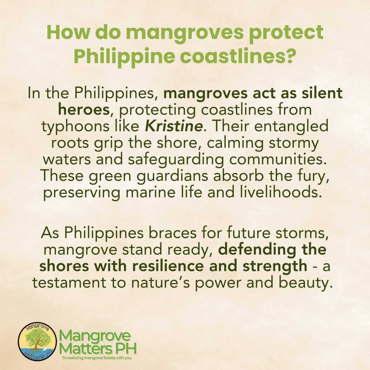 MangrovePh's tweet photo. MANGROVES: Coastal Defenders of the Philippines 🌊

Mangroves are more than trees—they are natural coastal sentinels that shield the Philippines from typhoons like Kristine! https://t.co/0BUtD6cfPE