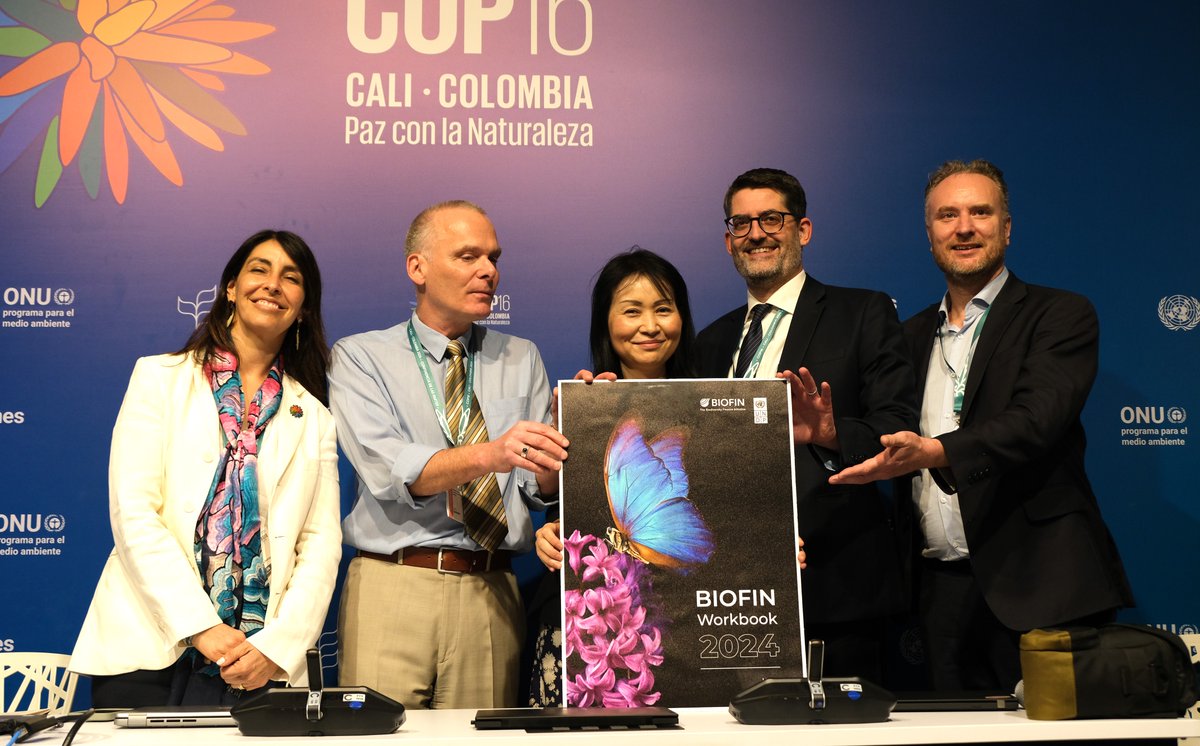 UNDPplanet's tweet photo. Business as usual is no longer an option.

The time to unlock financing for biodiversity protection is now.

Launched at #COP16Colombia, @UNDPbiofin workbook highlights action implementing Biodiversity Finance Plans: https://t.co/KVkY8gymXb https://t.co/zf2Ddcv22y