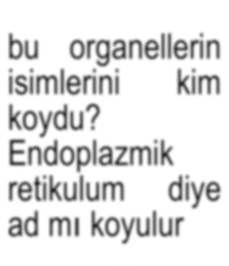 arel (@arelpascal) on Twitter photo 