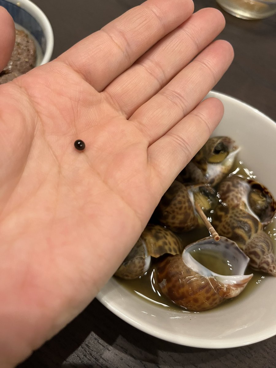 myuppo's tweet photo. 買った貝を食べていたら黒い硬い丸が出てきた。真珠みたい！なんだろこれ？ https://t.co/shncgdTOGP