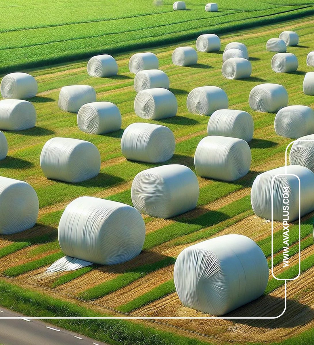 avaxplus's tweet image. 📢 Preserve Quality, Enhance Efficiency! 🌾

Discover our high-performance silage stretch films designed for durability, UV protection, and airtight sealing. 
Available in multiple colors and thicknesses!

#SilageFilm #FarmSolutions #QualityFeed #Agriculture #StretchFilm