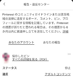 OekakiDog's tweet photo. 転生先のpinterest垢で違反通知きた。
ガイドライン違反があったから注意しろと言われても、既にそのpin消されてるんじゃ気をつけようがない。
今回はたまたまpinを覚えていたけど、別に健全の範疇内だし何が抵触してるのかさっぱり。
こりゃ、定期的に凍結させられる前提で運用するしかねーな。 https://t.co/38uWcttInd